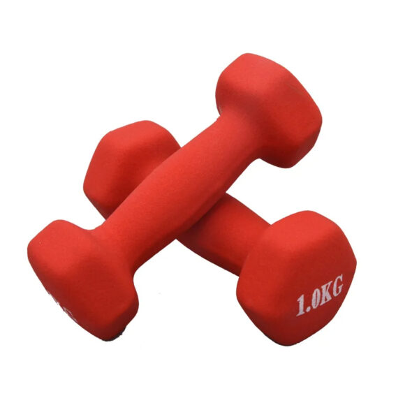 1kg Juego de Mancuernas Fitness Mancuernas Antideslizantes de Superficie Esmerilada para Hombres y Mujeres Ejercicio Pesas Deportivas Equipo de Musculación